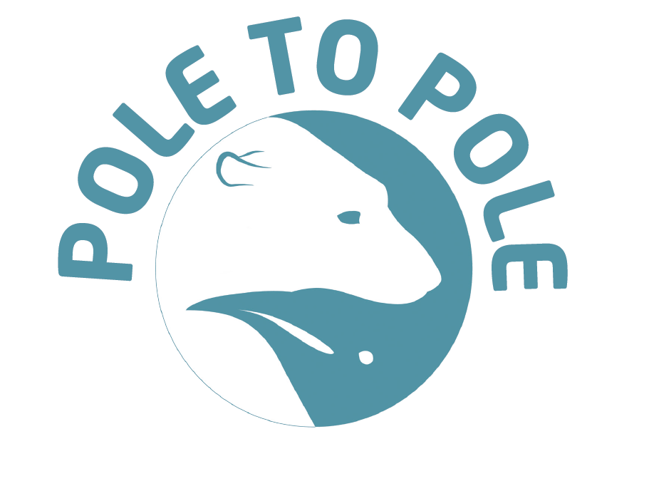 Pole to Pole logo