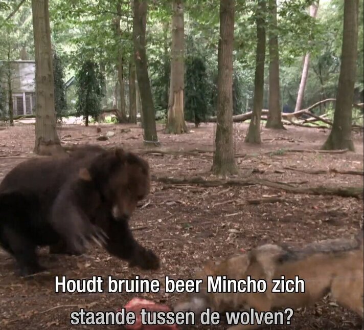 Het Echte Leven in de Dierentuin