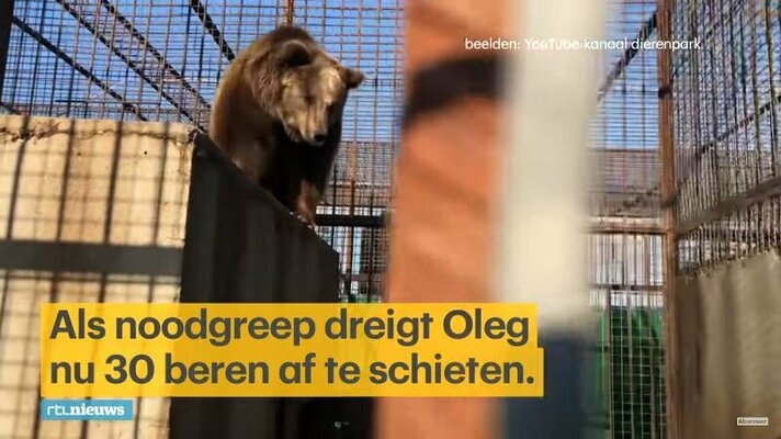 Wat Bears in Mind weet over de 30 beren in de Krim