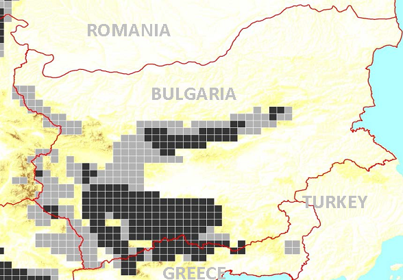 Berenpopulatie onder de loep