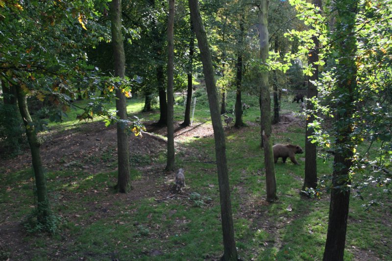 berenbos051333107756.JPG