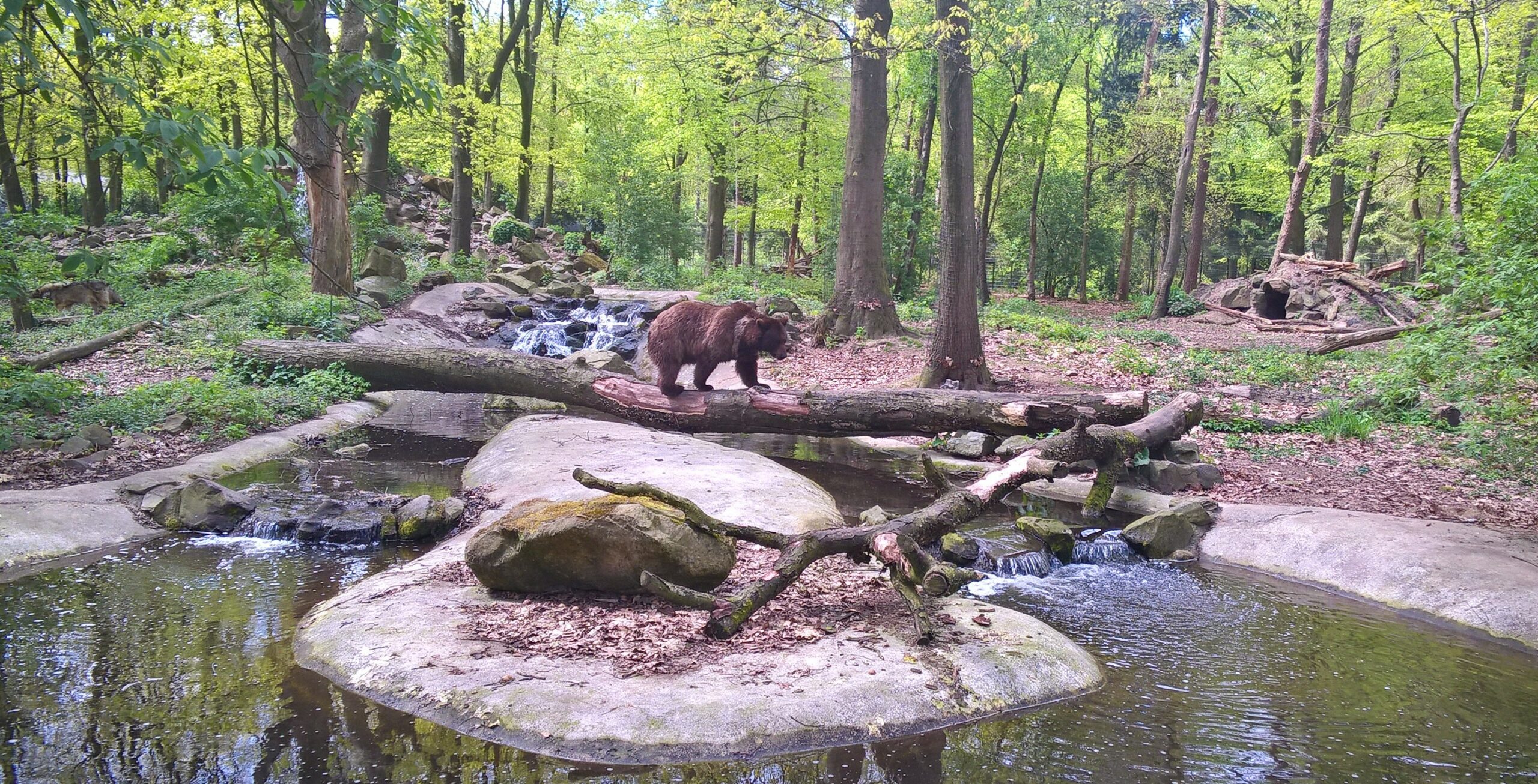 Het Berenbos Bears in Mind