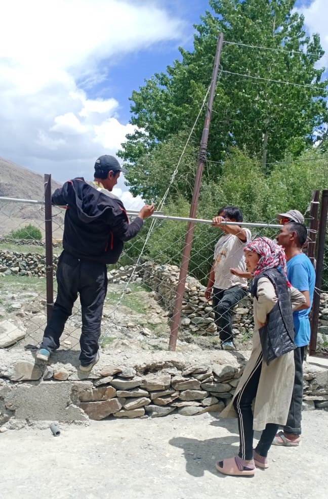 Conservation Education For The Himalayan Brown Bear In India Bears In